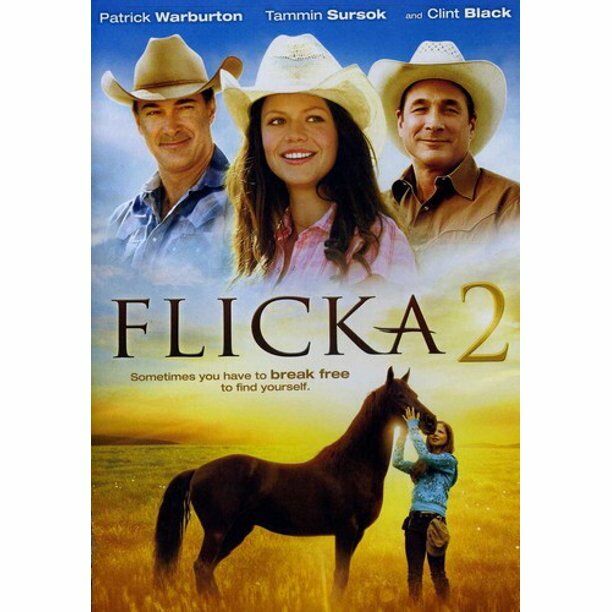 Flicka 2 DVD Horse Movie Gift Idea FRIENDS FOREVER RARE