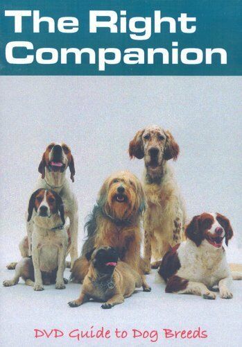 The Right Companion Visual Guide to Dog Breeds DVD
