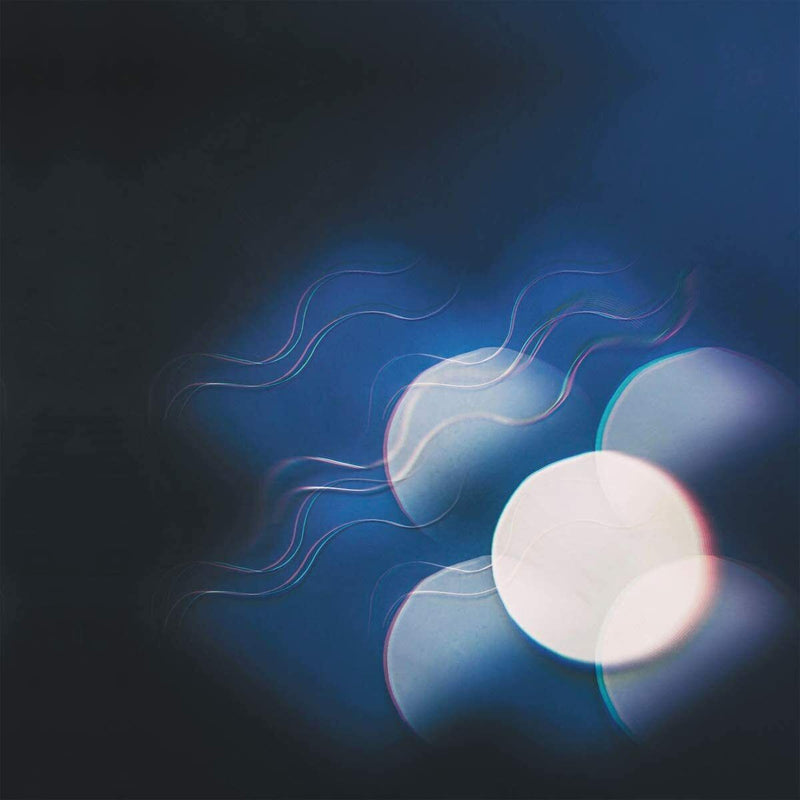 MUTUAL BENEFIT ‎THUNDER FOLLOWS THE LIGHT LIMITED BLUE VINYL LP ALBUM GIFT IDEA