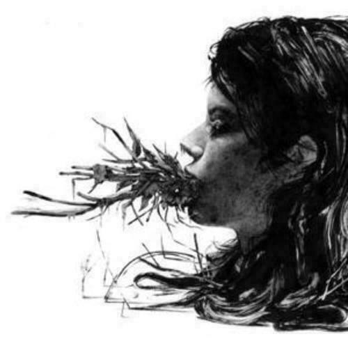 Parenthetical Girls : Entanglements CD (2008) Album NEW Gift Idea - Official