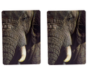 Elephant 3D Fridge Magnet 11cm Animal collectable GIFT IDEA - New