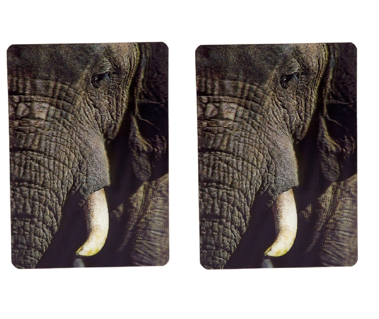 Elephant 3D Fridge Magnet 11cm Animal collectable GIFT IDEA - New
