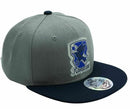 OFFICIAL HARRY POTTER RAVENCLAW SNAP BACK CAP HAT HEAD WEAR NEW GIFT IDEA