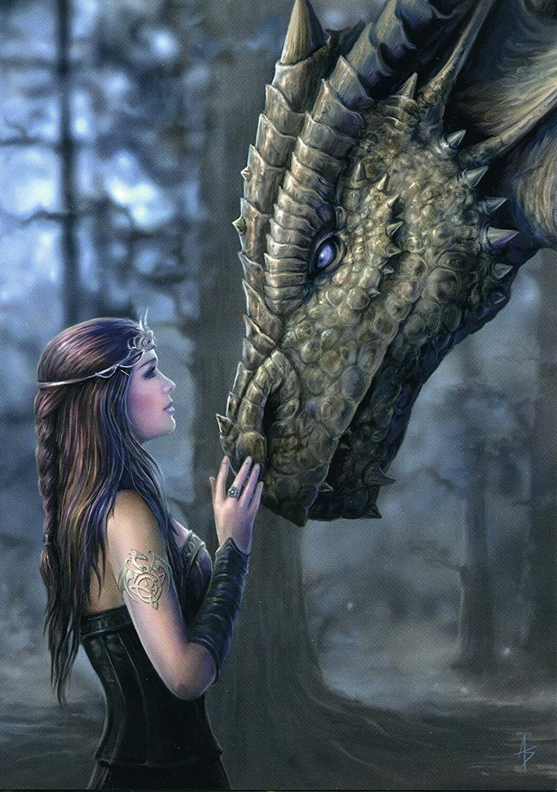 Once Upon A Time Greetings Card Anne Stokes Angels and Fairies Range dragon NEW
